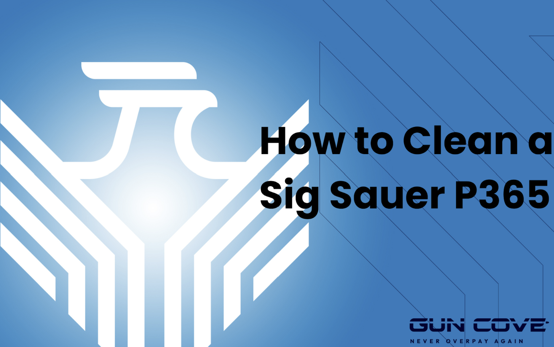 How to Clean a Sig Sauer P365